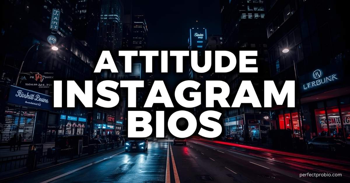 Instagram profile with a bold attitude bio.