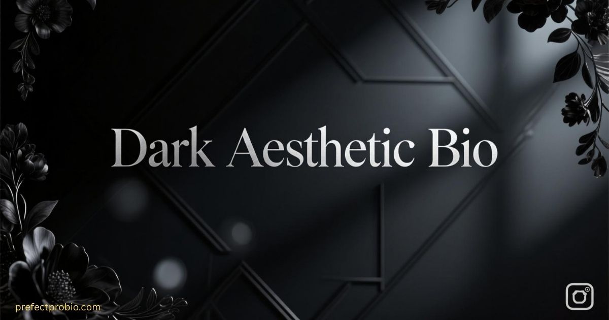 dark-aesthetic-bio-for-instagram