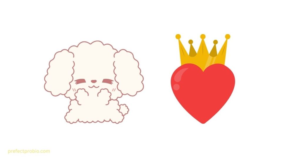 facebook-king-cover-photos