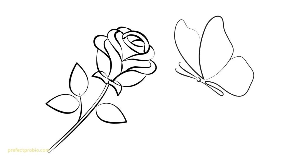facebook-vip-cover-photo-styles