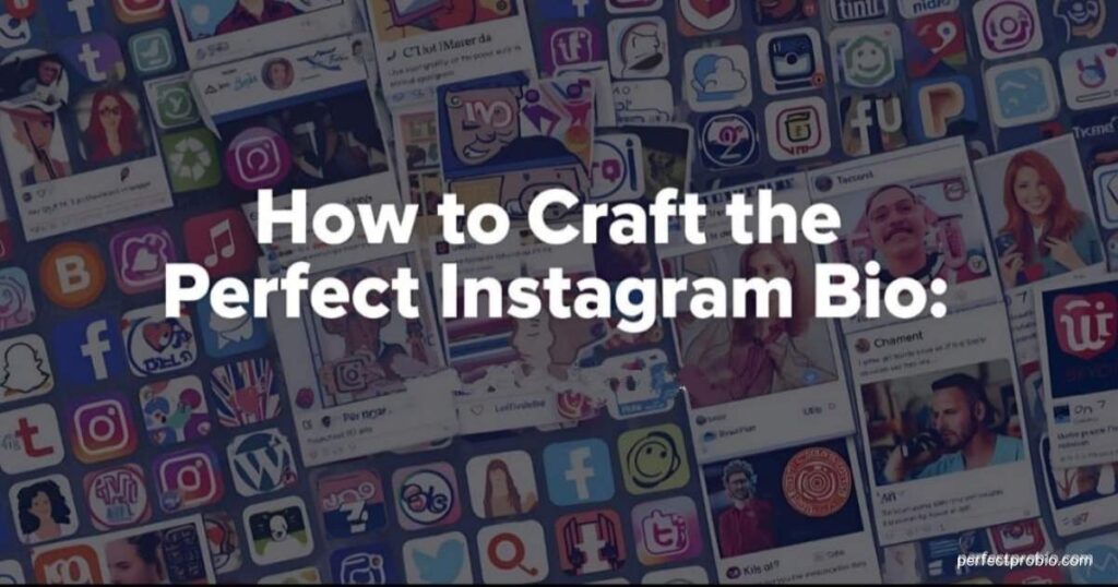 how-to-craft-the-perfect-instagram-bio