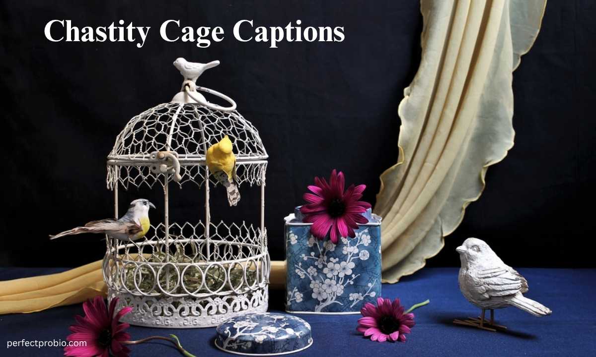 310+ Chastity Cage Captions to Lock His Mind and Body